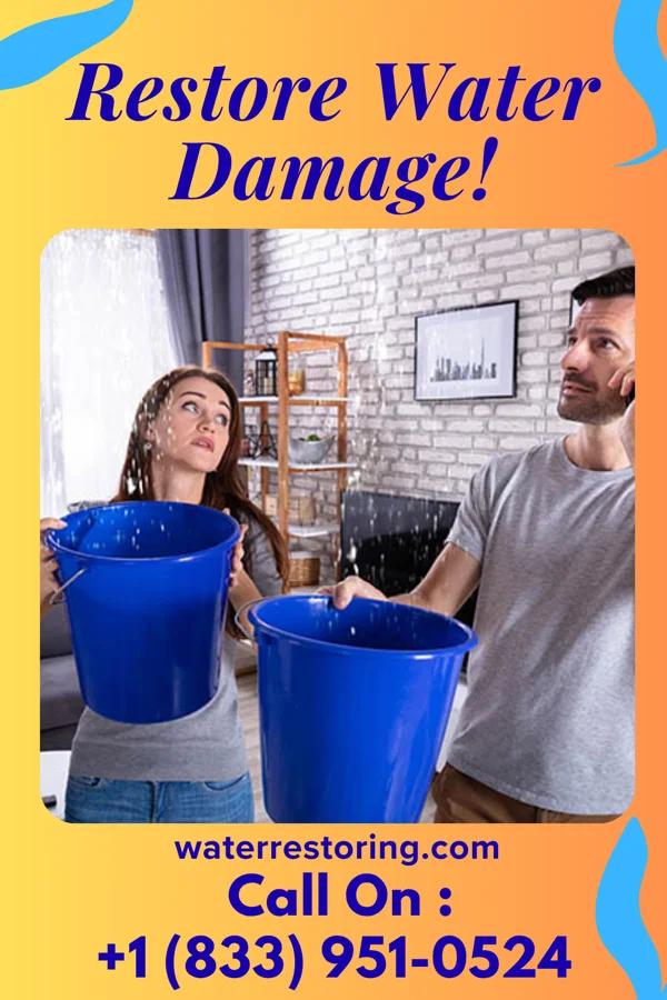 water restoration Southern Water Cleanup Professionals Wyanet