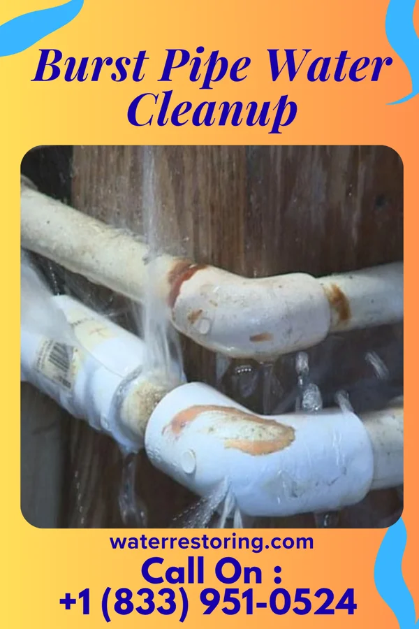 Burst Pipe Water Cleanup in Wyanet, IL