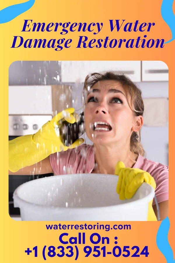 Emergency Water Damage Restoration in Wyanet, IL