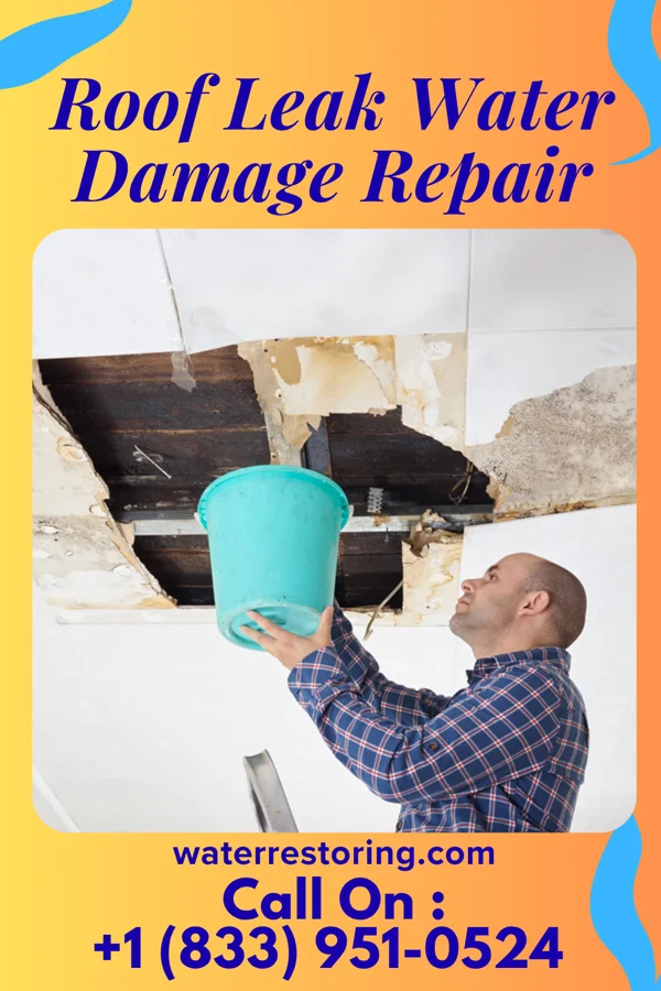 Roof Leak Water Damage Repair in Wyanet, IL